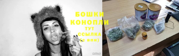 прущие крисы Беломорск