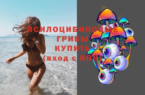 jwh Белокуриха