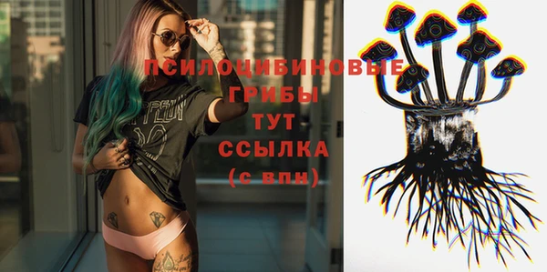 амфетамин Богданович