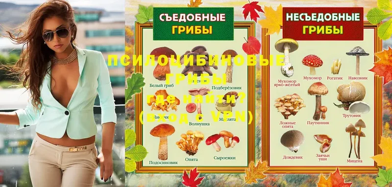 как найти закладки  Верхняя Тура  Галлюциногенные грибы Psilocybe 